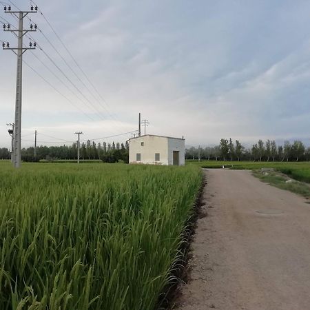 Gegant De Ferro Lägenhet Sant Jaume d'Enveja Exteriör bild